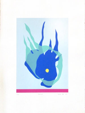 Barabás Zsófi - Átváltozás szitanyomat